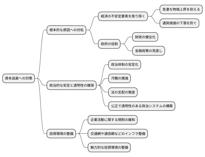 資本逃避への対策